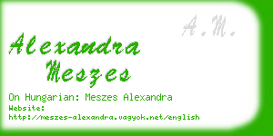 alexandra meszes business card